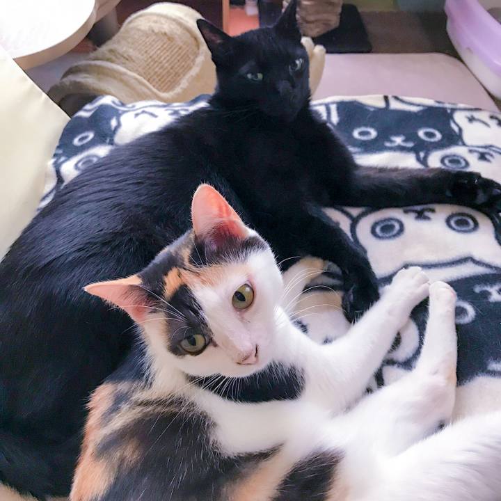 B77b5920 5f3c 4310 9e4b d64f0b96110e