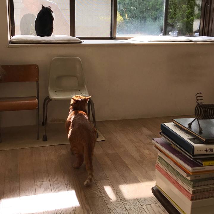 B77be032 0da3 4e3f 9af1 c17594e889f2