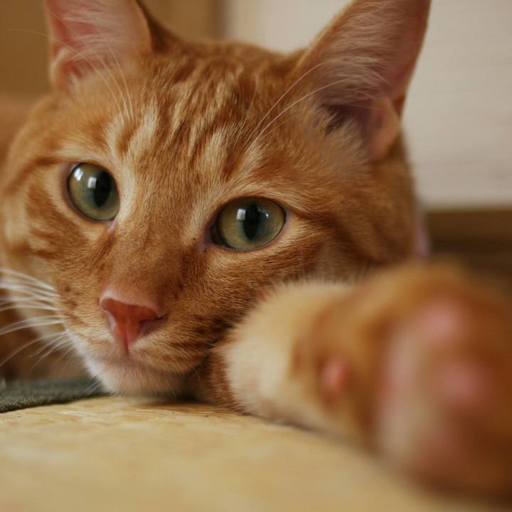 B77c8508 9922 43a3 8aa4 51c2cafa84e9