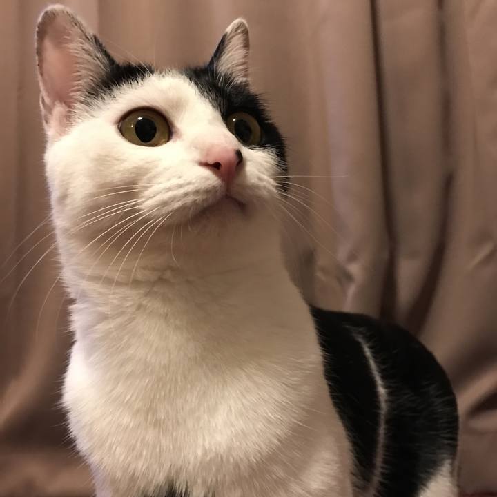 B77c8dd1 f34c 4bec 98e7 41a8dddd4bd0