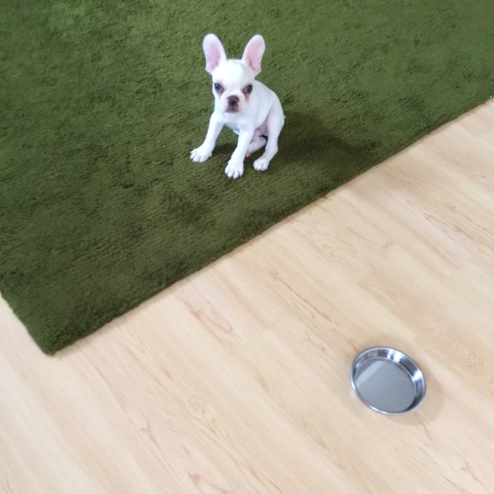 B77c92eb 16d2 407d 8393 1ca5ceaf6d22