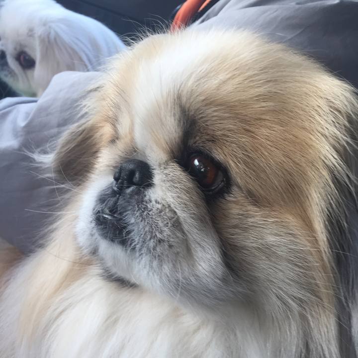 B77ca3b7 3254 45cb 91ae 650361bb4fd6