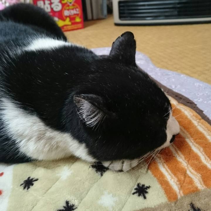 B77cc0d9 b8ae 4a75 bbef 2eb0883d3f59