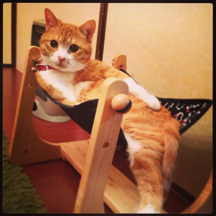 B77cffad 03cd 4ab8 a1ed ac72a075cbe3