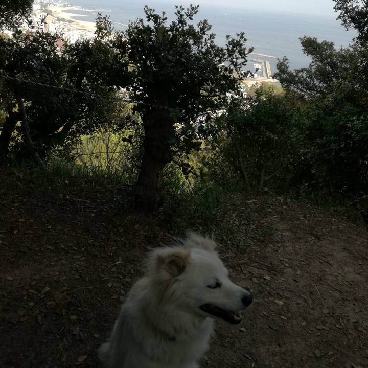 B77d9471 7cf2 4c7a a728 82df132ff319