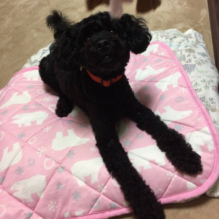 B77e2f5e 2d0d 4894 9fbc 2b0922538333