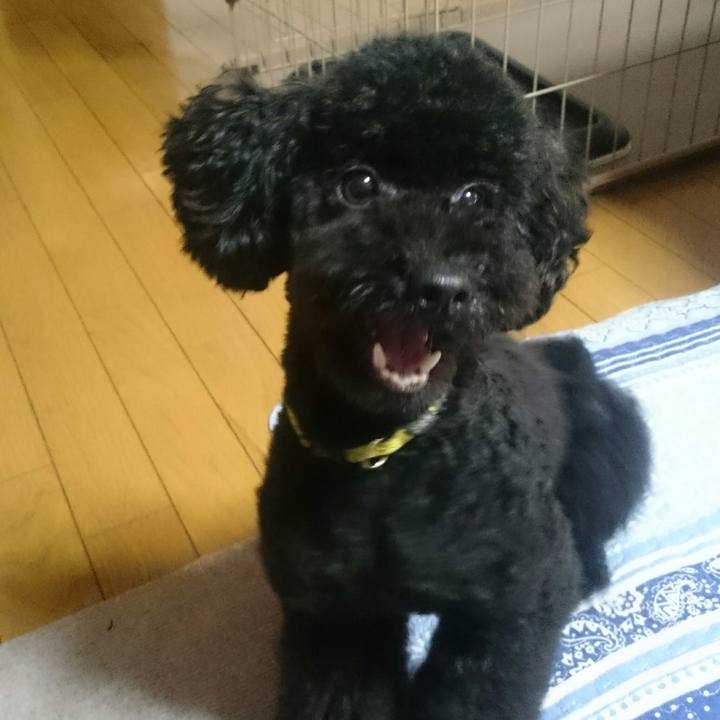 B77f5340 f9e2 4de1 b0c5 705da9cacd52