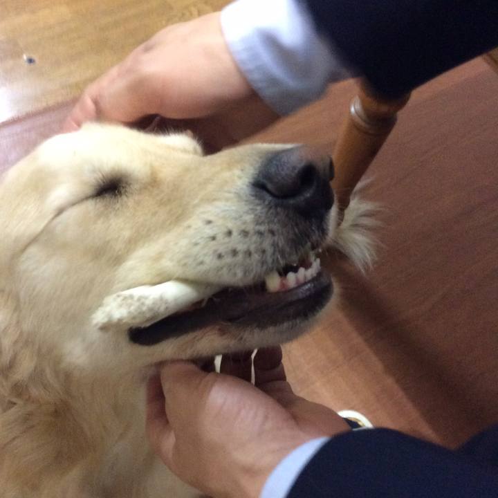 B77f92b2 e2a8 4376 95cd 7f0a6d85184c