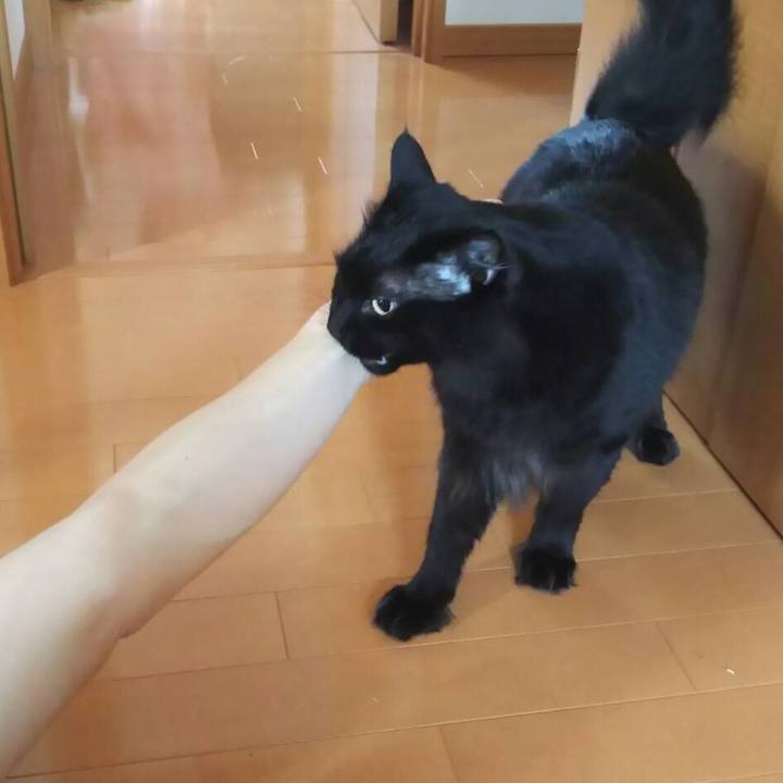 B77f9cb7 cbf0 48d6 9be2 9445711afc1b