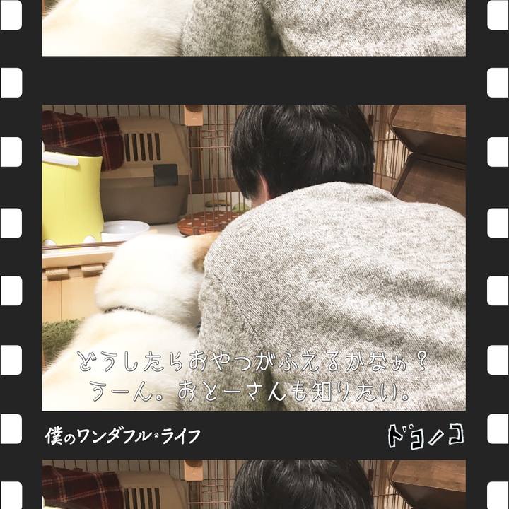 B77fc944 19ca 4c49 b312 137d44862c74