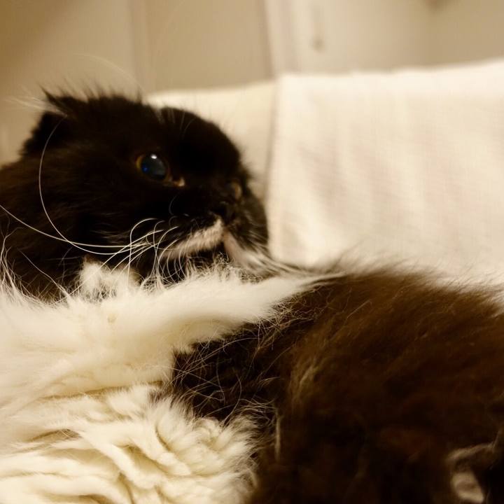 B77fdf0a 9c59 43d9 a14f ae847791a391