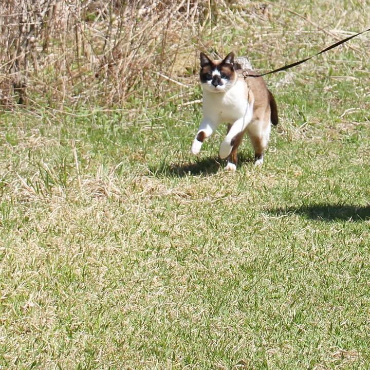 B77fee94 ba54 4e09 9c4b ab222aa19138