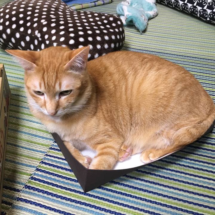 B7800a37 06de 42e5 8c12 b8704db50826