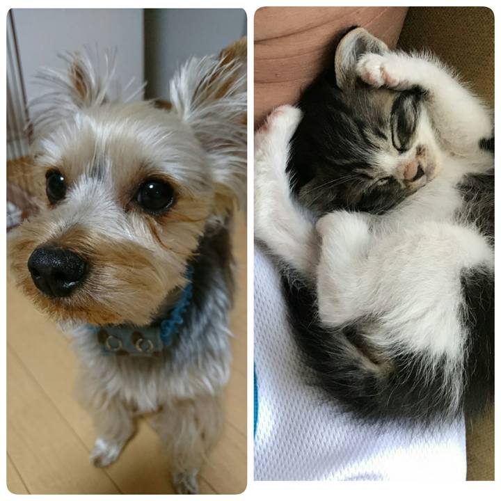 B7803e05 e06c 49d5 81a3 e9472be38095