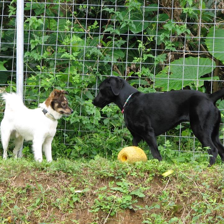 B7807d52 3cac 47f7 8ef3 e5d02cbef78b