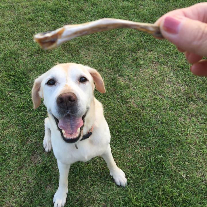 B780c883 e7f5 4a8a 9f3a 23eb1ceda311