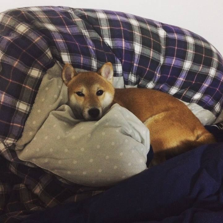 B78123b8 418a 47f3 b3a9 887d38630976