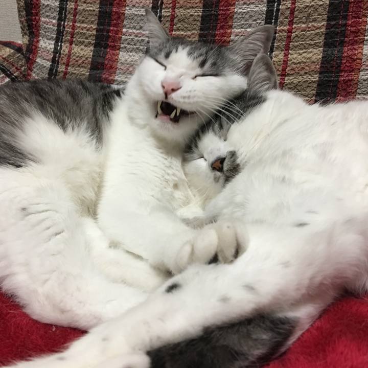 B7813104 13ea 407a a928 1d92a024467d