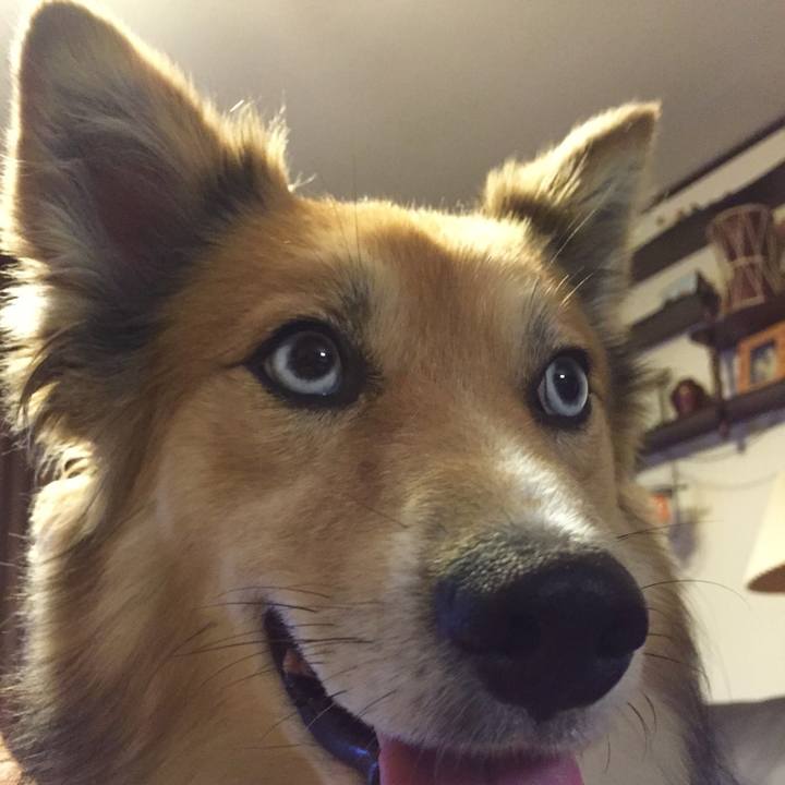 B7824496 4cca 4ae7 affe f6bc36dc575c