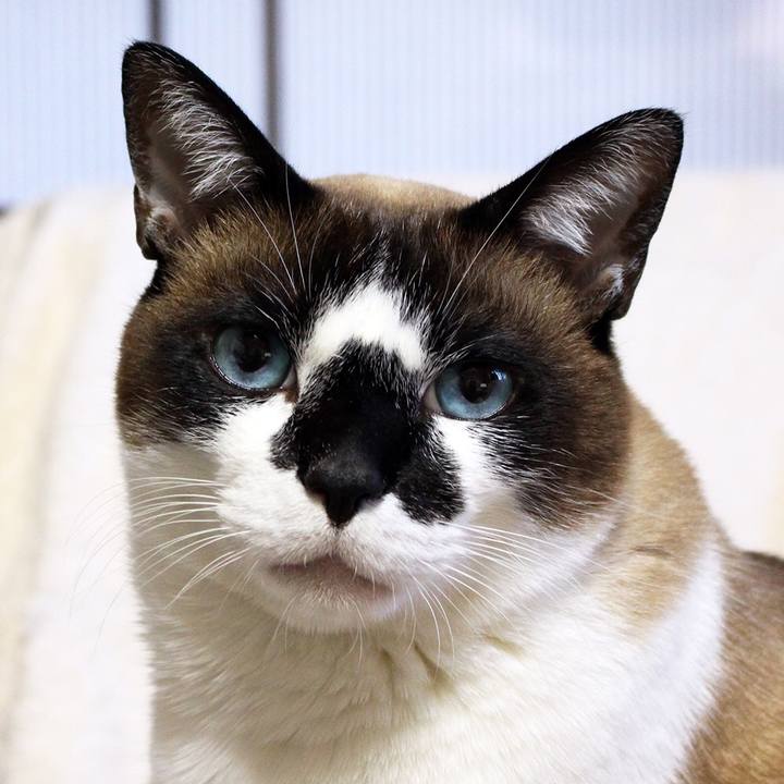 B7826188 3a75 4e37 be54 84a35e75a5c4