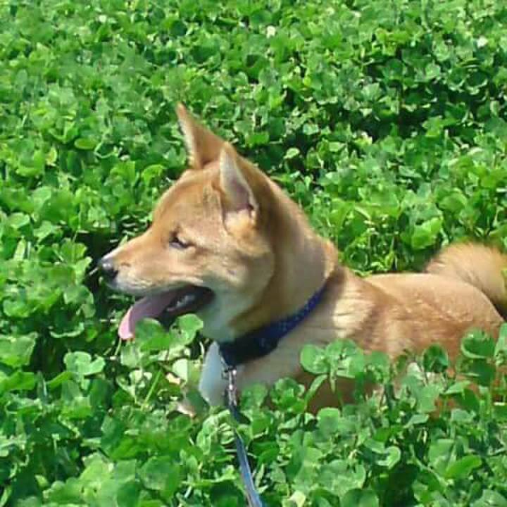 B783f1f5 54e2 4734 ab2a f8326ab519d1