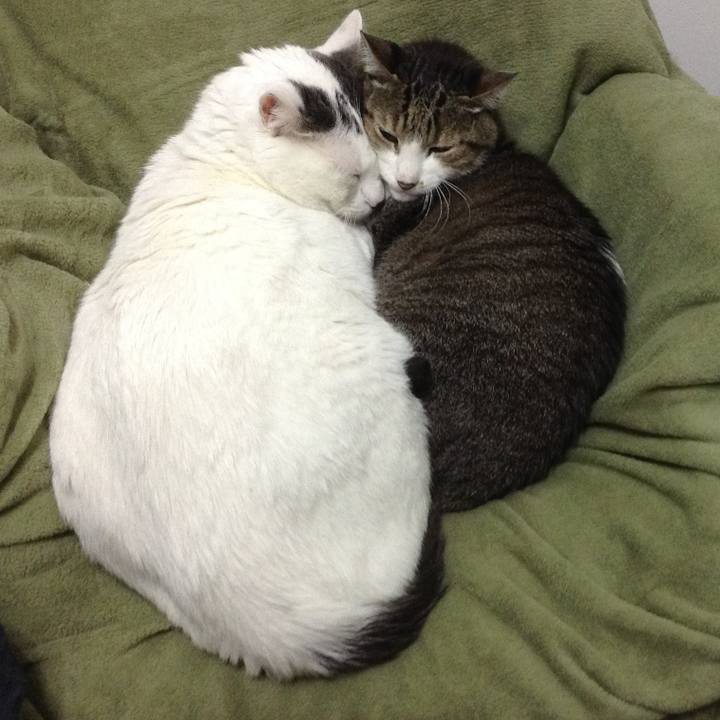 B784b31c 5e21 4218 9536 1b2b27714ab4