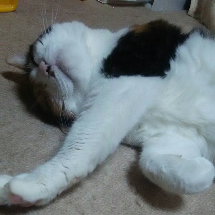 B784fa34 b2d9 40d5 8a5d 663fe918879c