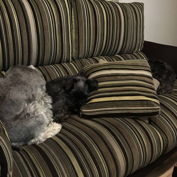 B7856690 3211 4312 9dc7 ae3c361bf3fb