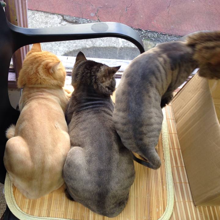 B7870f00 54ae 4c3a aa4a 2163915b51c0