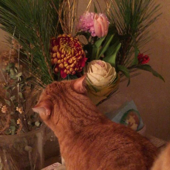 B7870f2b 0acc 4480 a40f 90aab586ede6