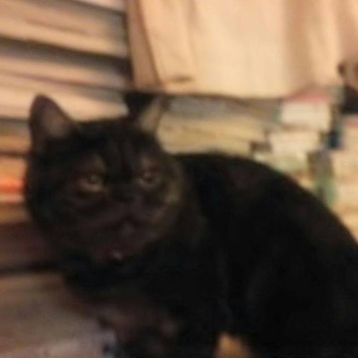 B7886ac6 1ab0 4589 b139 dfb20232fba0