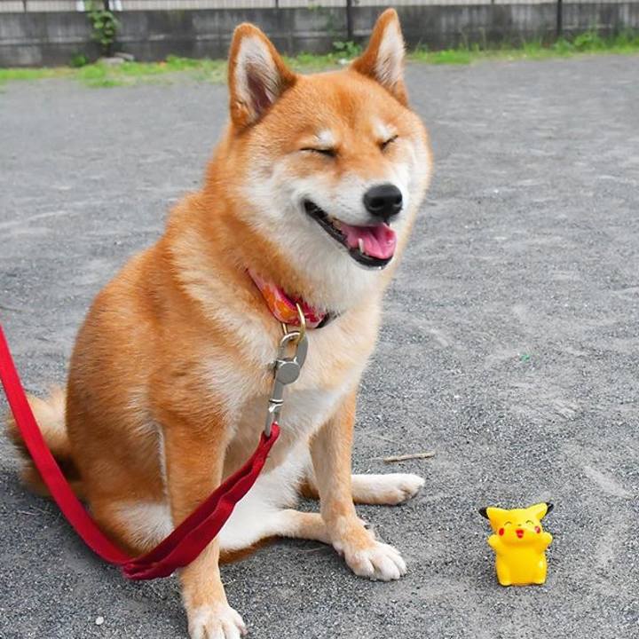 B7889a02 1773 41ed a192 54eb058a6fde