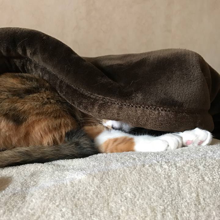 B7889bae 5849 4ed2 ac40 679e54463a16