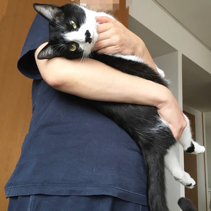 B788bbac f7ec 4944 9a94 e750d594a05c