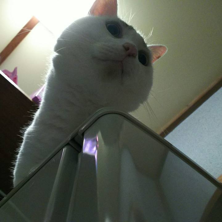 B788cfdc fcf2 4b12 a35a 55a21d1a1319