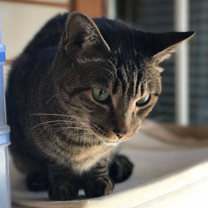 B788e55d a1f5 450b a77d f133d99018de