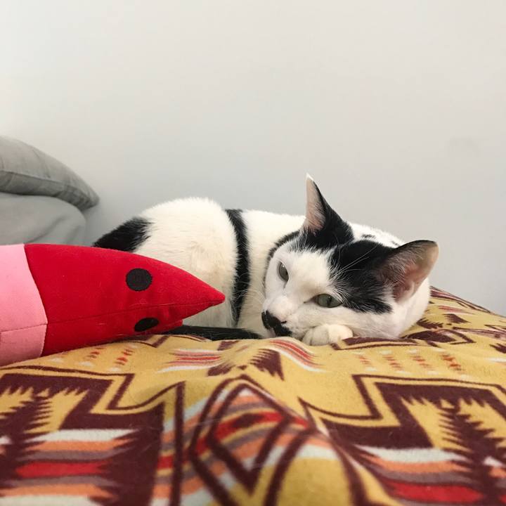 B78943a2 d585 47de 8805 cbf70a7db68a