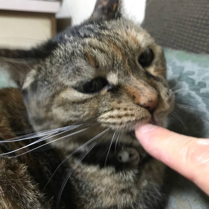 B78a79b9 b17d 4d95 9913 e43a8a511cd4