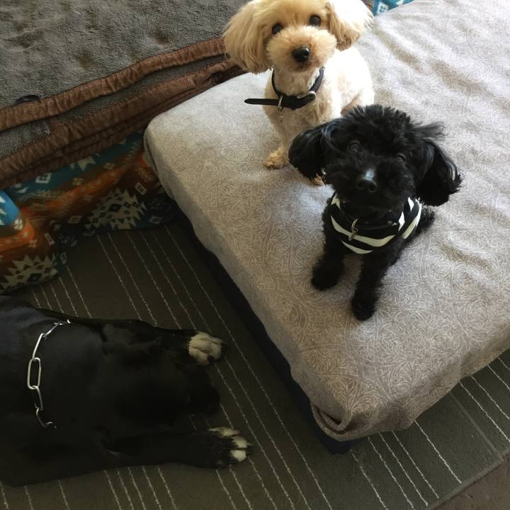 B78b0bb4 325a 4b50 b63a 7b1c81eab91a