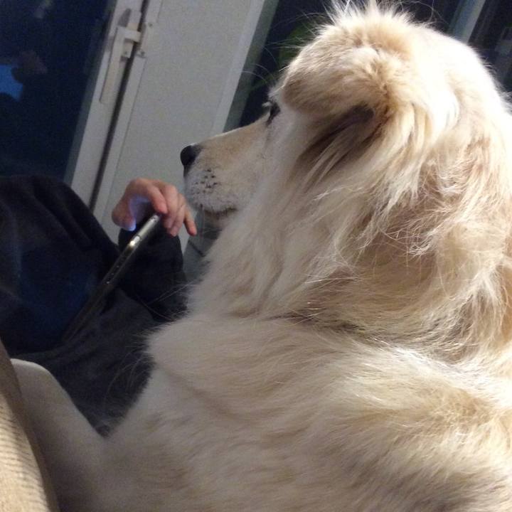 B78b7252 817b 4c61 94b1 7b59872da17a