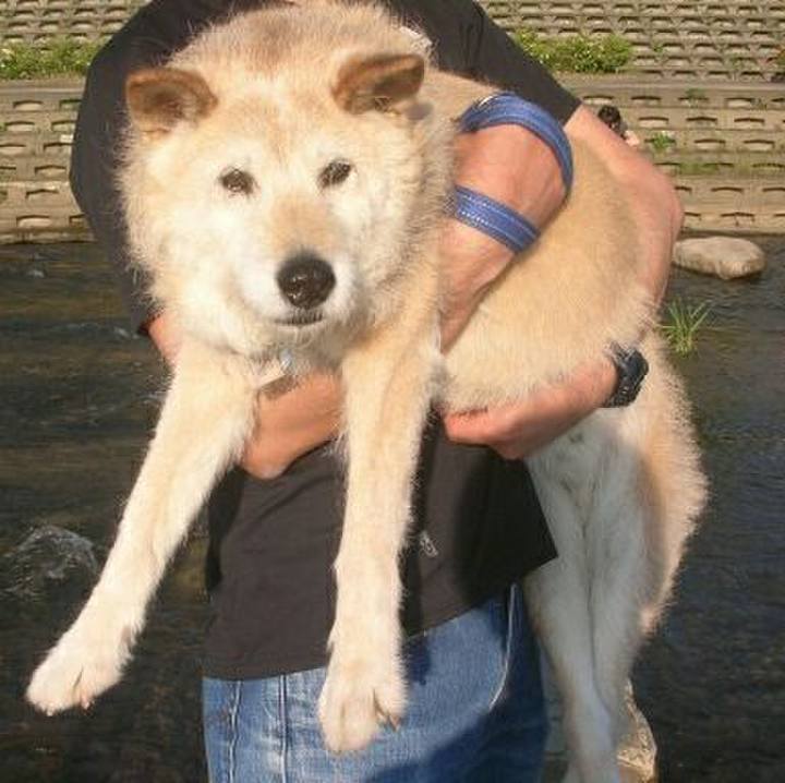 B78bcb49 d43a 4f5a 8d32 1ab22db62a82