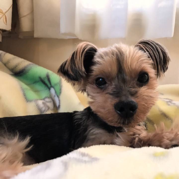 B78be485 c3d6 4948 9cd5 2a5e11ada208