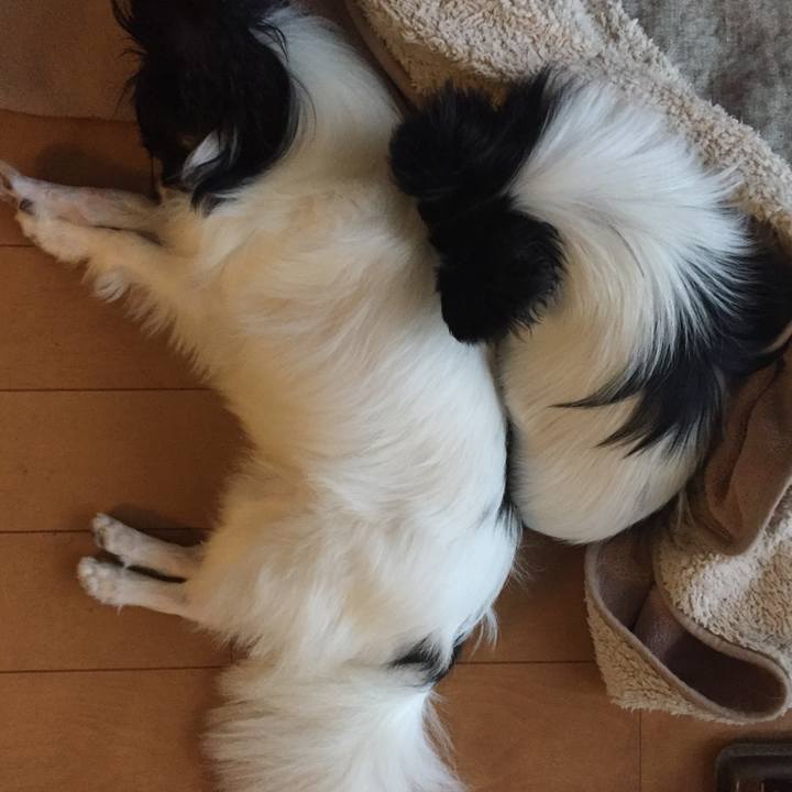 B78c0088 9bb0 498b 9ff1 2aeb916011b1