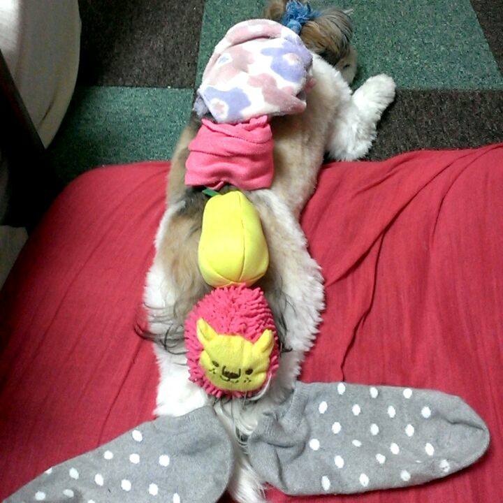 B78c02d4 35e9 4874 90e2 844de1629071