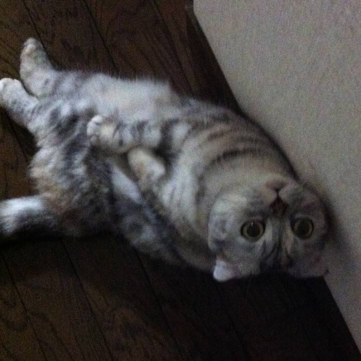 B78c34ed ec84 4405 bb97 a79acc4d9dd1