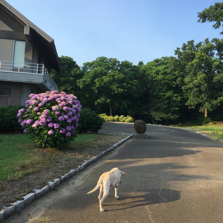 B78cf2d2 5e8e 4e64 9258 5f1f604c1549