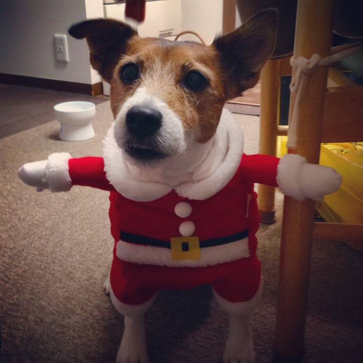 B78d4922 b352 4e87 b718 eb82b9805b90