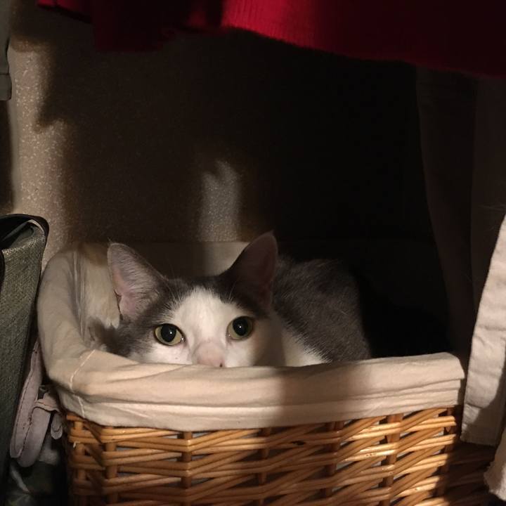 B78d55f1 9b85 48b4 bb0d 1980155eff3c