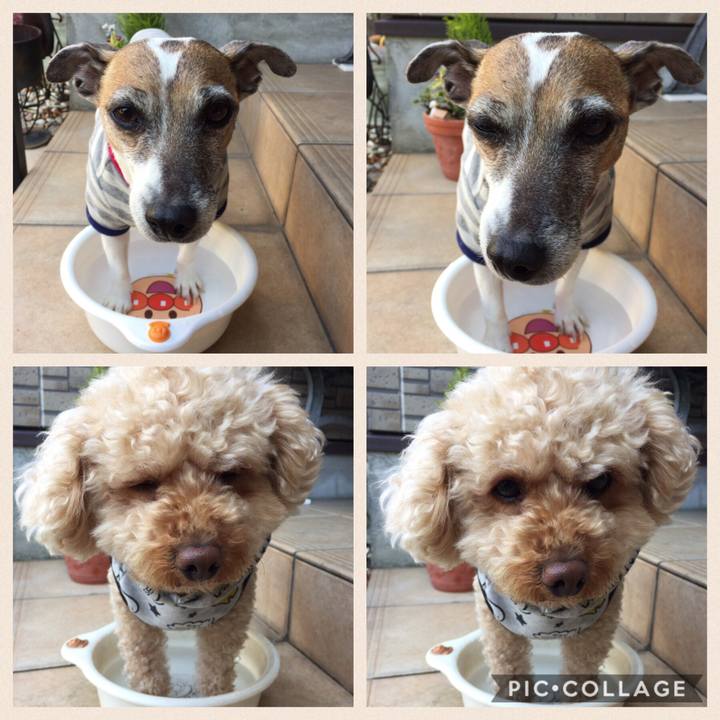 B78d845a 4e3c 47db 9362 a5dbef3449ca