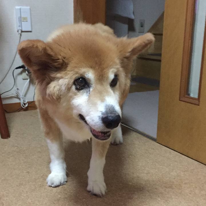 B78e2dfc c65f 4021 9905 8c1b8e3f843d